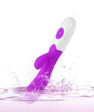Erodit Tarzan dildo vibrator Paars, inclusief batterijen