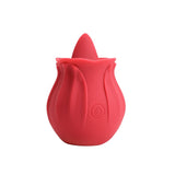 Erodit Tong Vibrator